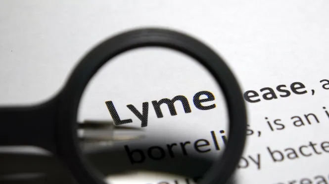 Lyme Disease defined under magnifying glass