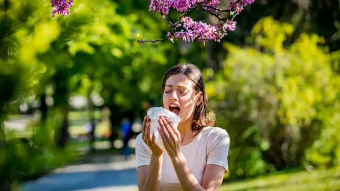 A woman with allergies about to sneeze standing beneath a blooming tree