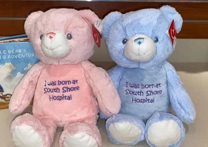 Two stuffed teddy bears, one pink and one baby blue, with "I was born at South Shore Hospital" stitching on their chest.