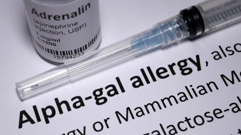 Alpha-gal allergy definition image