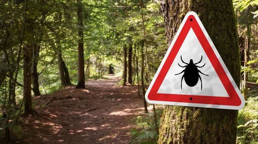 A sign warning about ticks, tick bite prevention warning